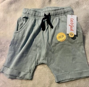 Cat & Jack Toddler Boy Light Green Shorts Size 4t - Picture 1 of 4