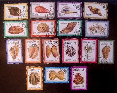 Belize Stamps Lot#D80  shells Cover