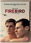 Firebird (DVD, 2021) Gay Theme [Region Free]