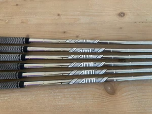 TRUE TEMPER AMT TOUR BLANCO S300 .355" PUNTA 5-PW + EMPUÑADURAS DE TERCIOPELO GOLF ORGULLOS TOUR - Imagen 1 de 7
