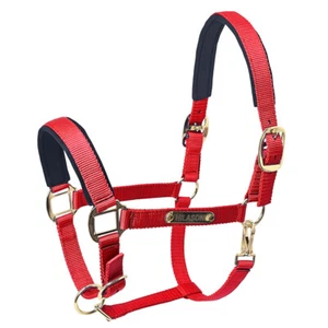 86HI Medium HILASON Western Horse Top Grade Nylon Comfortable & Flexible Halter - Picture 1 of 3