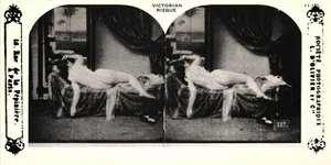 Mujer Desnuda Victoriana Risque Stereoview Stereo Classic Studios 1978 Negro Blanco - Imagen 1 de 2