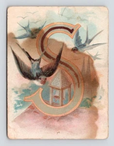 1880s Letter S Dilworth's Coffee Mother and Daughter Advert Victorian Trade Card - Picture 1 of 2