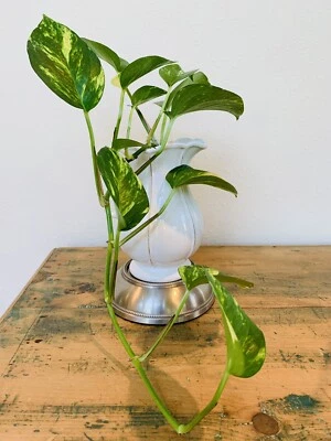 VINTAGE  MID CENTURY METAL  PLANT STAND CANDLE RISER - Imagem 1 de 4