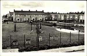 Purmerend Niederlande Holland ~1960 Hertenkamp Siedlung mit Rehen auf Wiese - Picture 1 of 1