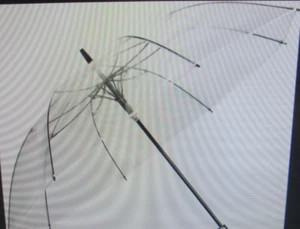 Transparent Folding Umbrella Full Automatic Clear Umbrella Auto Open Close - Picture 1 of 6