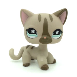 Littlest Pet Shop Gris Pelo Corto Gato Gatito Bronceado Ojos Azules LPS #468 Imán - Imagen 1 de 4