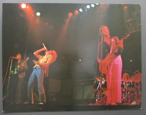 The Who color concert photo ORIGINAL Licensed by Rising Signs 1974 ! - Picture 1 of 2