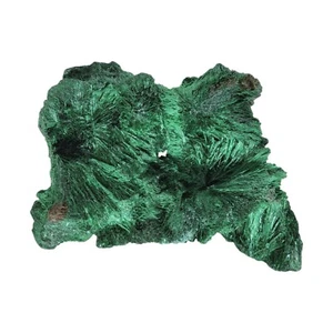 Malachite, 2.5", fibrous, high grade, display, specimen, #R-3305 - Picture 1 of 10