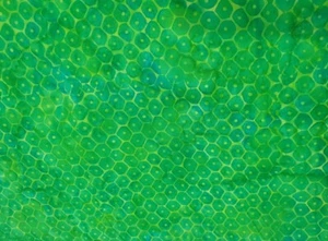 Batik Cotton Quilting Craft Sewing Fabric Metre/ Fat Quarter Lime Green Hexies - Picture 1 of 3