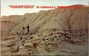 Toadstools in Nebraskas Toadstool Park Postkarte - Bild 1 von 2