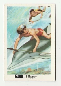 1960s Swedish Pop Star Card #70 Flipper the Dolphin With Beatles Sectional Back - Picture 1 of 2