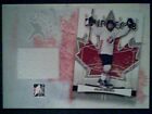 STEVEN STAMKOS  AUTHENTIC PIECE FROM A TEAM CANADA GAME-USED JERSEY /25  SP