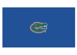 Florida Gators College NCAA Billiard Pool Table Cloth Felt - Pre Owned - Picture 1 of 6