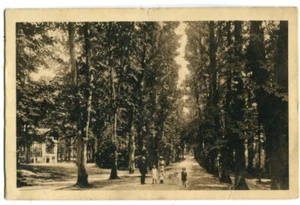 AK Israelsdorf,Forsthalle,bei Lübeck,Kücknitz 1915 - Bild 1 von 2