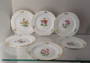 6 platos de pastel Meissen platos de postre flor colorida borde dorado 3 x 1. Wahl 18 cm - Imagen 1 de 19