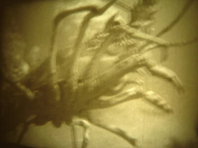 16mm Soviete Educational " Animals living in water Film bw Movie Nature zoology - Image 1 of 4