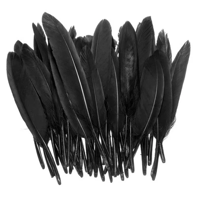 100 Pcs 4-6" Feathers Long DIY Goose Feather Hat Dream Catcher Black - Image 1 of 4