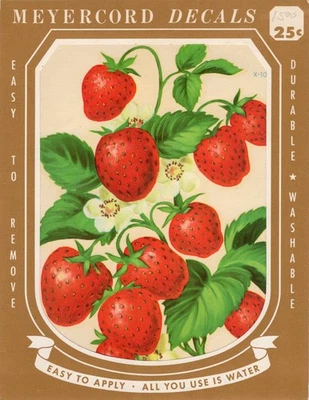 Calcomanía vintage Meyercord fresa X-105-A Foto 1 de 3