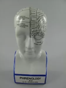 Frenologia Testa Frenologico Porcellana Blu Busto L.N.Fowler Neurologia - Foto 1 di 4