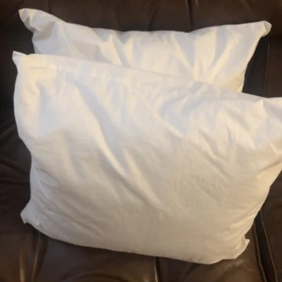 Juego de 2 insertos de almohada Pottery Barn Kids esponjosos blancos suaves 14 X 16 Foto 1 de 4