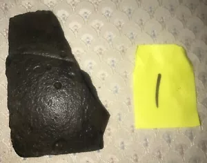Fossilized Turtle Shell Fragment from Florida, Pleistocene Epoch (1) - Picture 1 of 3