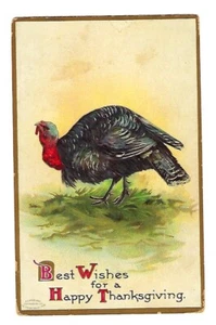 c1908 Arte Internacional #51496 Postal de Acción de Gracias Pavo Salvaje - En relieve - Imagen 1 de 2