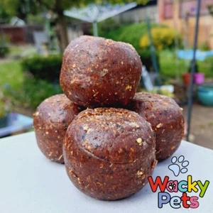 FRUIT FAT BALLS FOR WILD BIRDS Winston Wilds x 20, 50, 100 Luxury Handmade - Picture 1 of 6