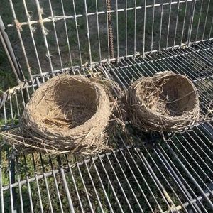 Echte Vogelnester 2 Stück einzigartige natürliche verlassene Nester - Bild 1 von 11