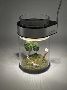 Scentsy "Make a Scene" Wachswärmer Terrarium anpassbar - Retired Rarität - Bild 1 von 9