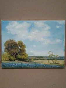 One Of A Kind Texas Bluebonnets Oil Painting 🎨 - Picture 1 of 4
