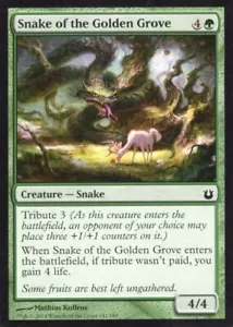 4X SNAKE OF THE GOLDEN GROVE 141/165 BORN OF THE GODS MTG MAGIC NM X4 - Bild 1 von 1