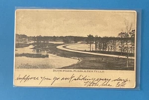 Vintage 1907 Postcard Duck Pond Middlesex Fells Melrose Massachusetts MA - Picture 1 of 2
