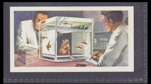 MAN INTO FISH - 45 + Tarjeta de Comercio Inglesa Años # 44 - Imagen 1 de 2