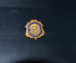 DARLINGTON A.A BROWN TROUT FISHING CLUB BADGE - Picture 1 of 2