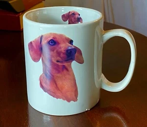Taza Dachshund perro Doxie Weiner perro 11 onzas de cerámica - Imagen 1 de 4