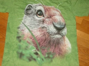CARINO!! T-shirt uomo GROUNDHOG DAY fischietto maiale woodchuck NUOVA tg..... GRANDE - Foto 1 di 11
