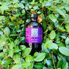 Organic Elderberry & Rosehip 8 oz. amber glass bottle Extract Tincture 