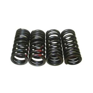 Muelles de válvula para motor Daytona Anima 150 190 4V FLX FDX FE - Imagen 1 de 8