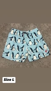 Jumper Men’s Swim Shorts Quick-Dry Beach Shorts Elastic Waist Swimwear - Picture 1 of 1