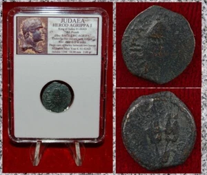 Ancient Coin JUDAEA Prutah HEROD AGRIPPA I Jerusalem Mint Appointed By Caligula  - Picture 1 of 4