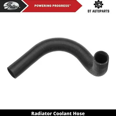 Para 1963-1965 Jeep F-134 2.2L L4 GAS Manguera de refrigerante del radiador Puertas inferiores 1964 Foto 1 de 4