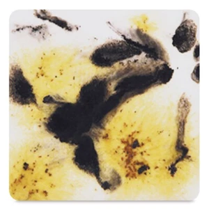 NEW Mayco Jungle Gems Crystal Glaze Crystalites 1 pint CHEETAH S-2726 - Picture 1 of 3