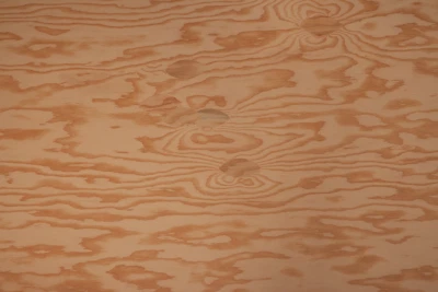 WOODNSHOP Fir Plywood Marine Grade