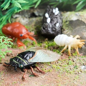 Cicada Life Cycle Set Simulation Animal for Boy Girls Birthday Gifts - Picture 1 of 10