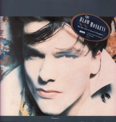 BLOW MONKEYS SHE WAS ONLY A GROCER'S DAUGHTER LP VINYL 11 track vinyl lp with in - Bild 1 von 4