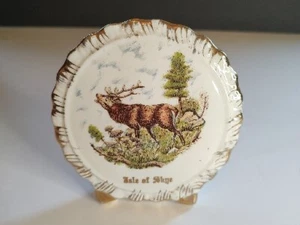 Isle Of Skye Skye Wool Mills Liverpool Rd Pottery Ltd Bone China. England - Picture 1 of 9