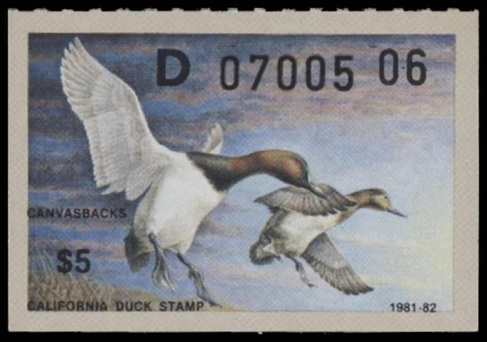 1981  California State Duck Stamp Mint Never Hinged. Original Gum  - Image 1 of 1