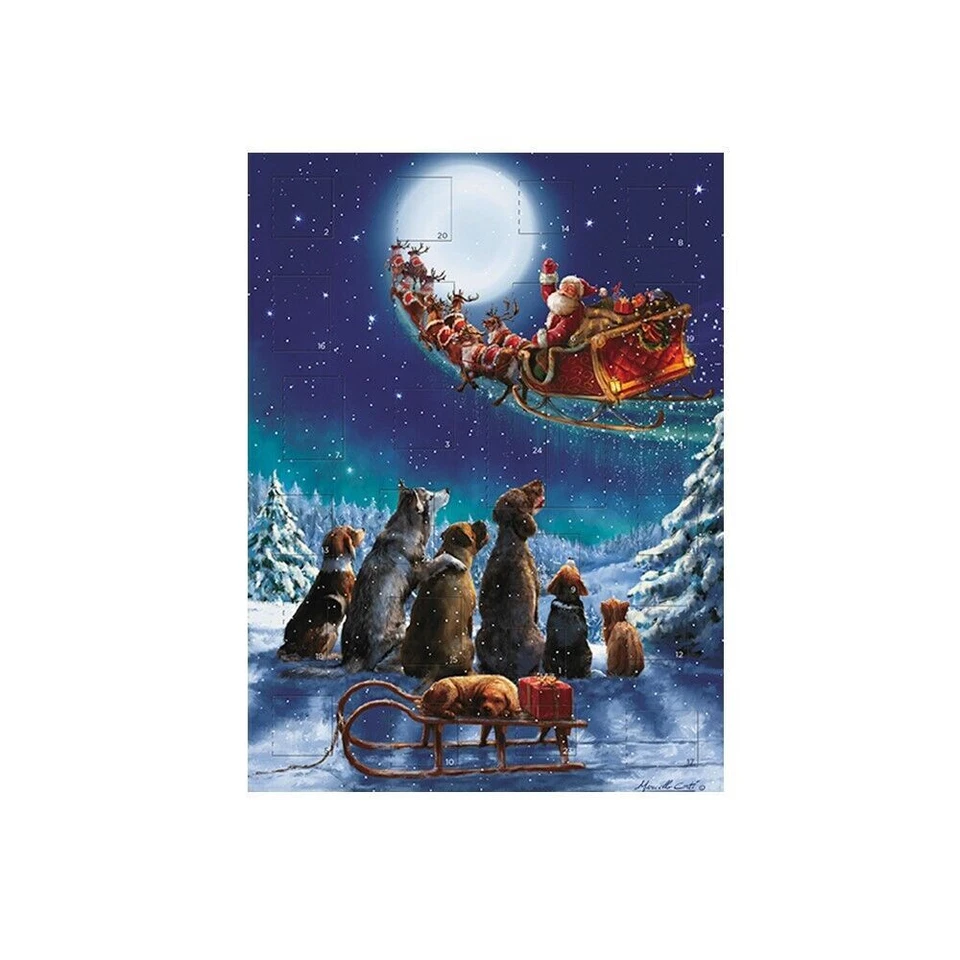 Santa and Dogs Christmas Friends Medici Advent Card 151 x 203 mm - Image 1 of 1