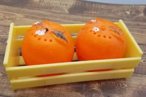 Florida Oranges In Crate Plastic Salt & Pepper Shakers Hong Kong Vtg 70s - Picture 1 of 6
